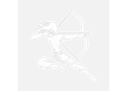 Veera Apparel Logo